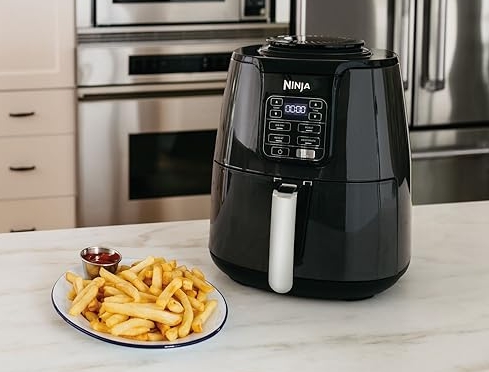 Air Fryer Frozen Fries Guide